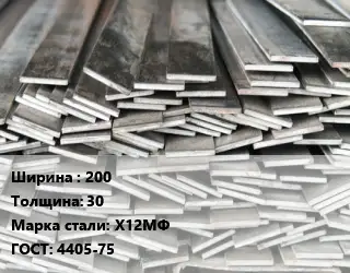Полоса стальная профильная 200х30 Сталь: Х12МФ ГОСТ: 4405-75